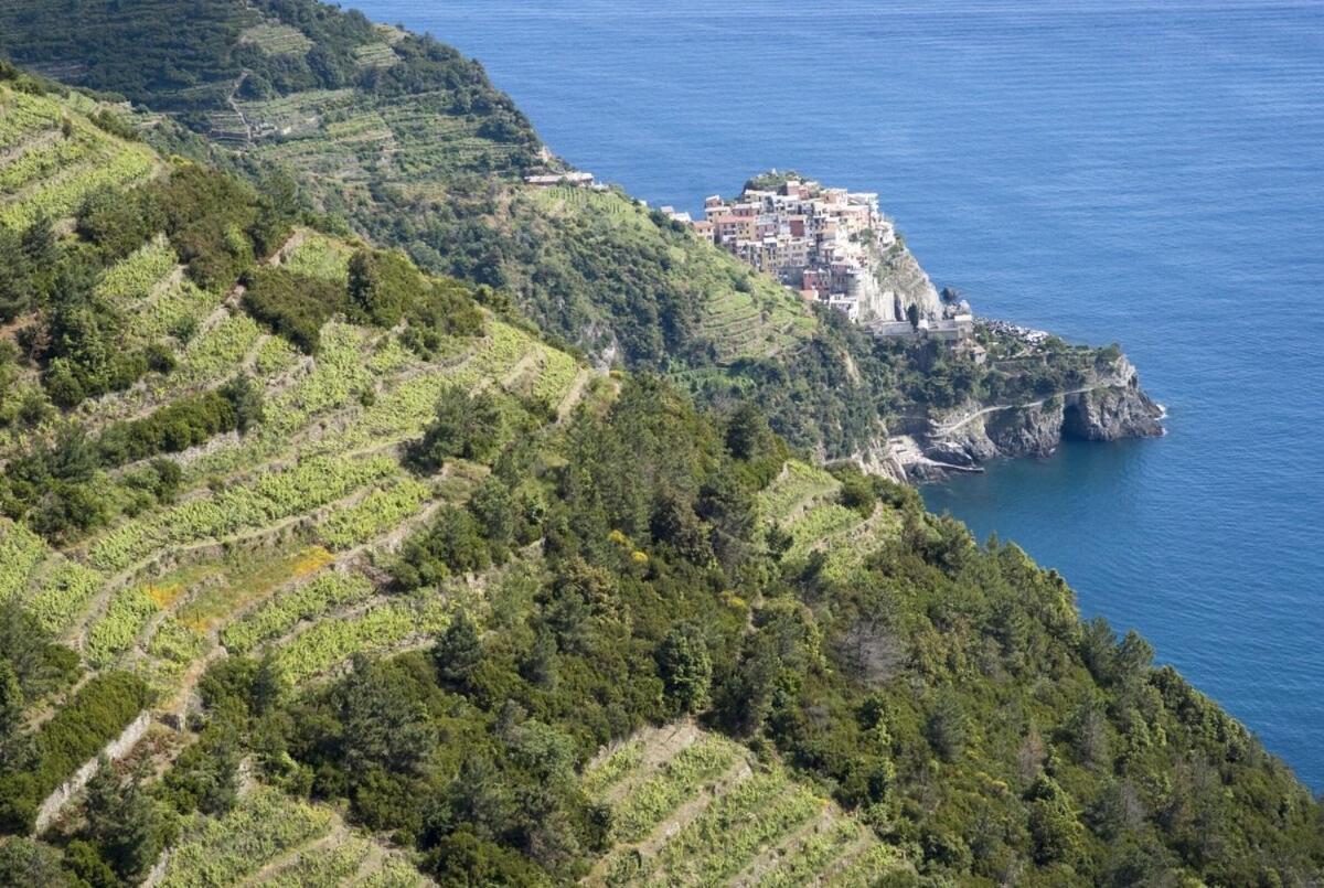 La Casa Fra Gli Ulivi Luxury Apartments With Pool Near Cinque Terre And Tuscany Monte Marcello Exteriér fotografie